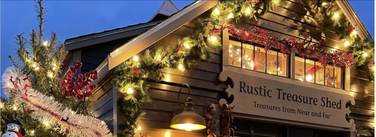 Read more about the article Rustic Treasure Shed